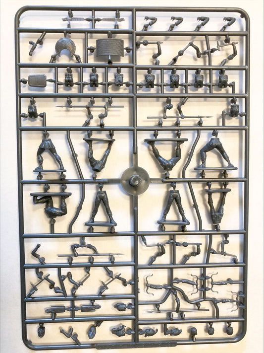 Female Amazon Sprue